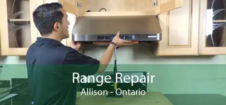 Range Repair Allison - Ontario