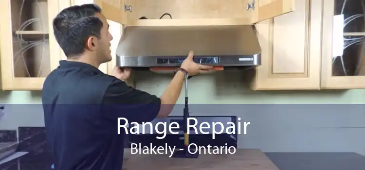 Range Repair Blakely - Ontario