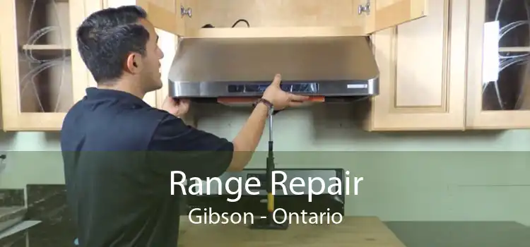 Range Repair Gibson - Ontario