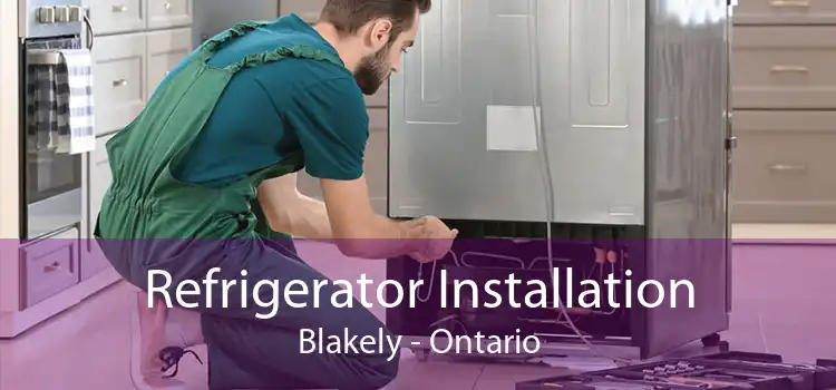 Refrigerator Installation Blakely - Ontario