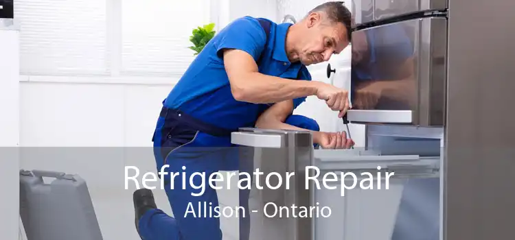 Refrigerator Repair Allison - Ontario