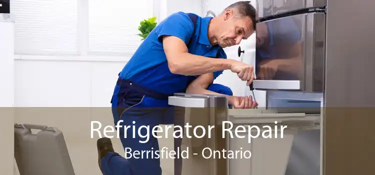 Refrigerator Repair Berrisfield - Ontario
