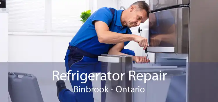Refrigerator Repair Binbrook - Ontario