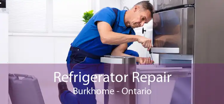 Refrigerator Repair Burkhome - Ontario