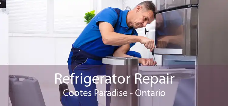 Refrigerator Repair Cootes Paradise - Ontario