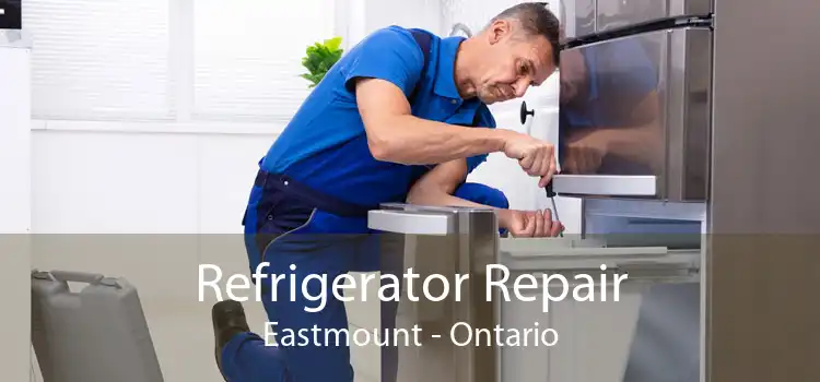 Refrigerator Repair Eastmount - Ontario