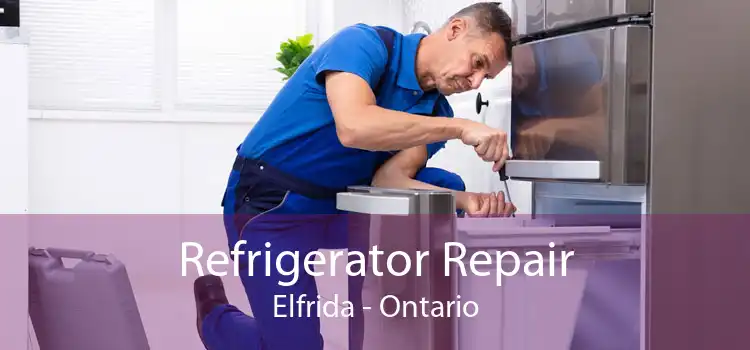 Refrigerator Repair Elfrida - Ontario