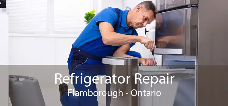 Refrigerator Repair Flamborough - Ontario