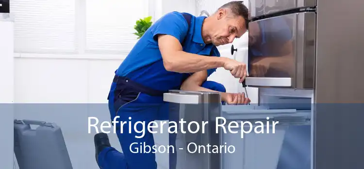 Refrigerator Repair Gibson - Ontario