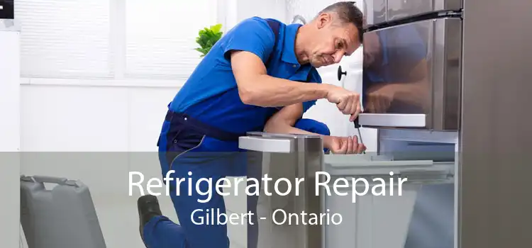 Refrigerator Repair Gilbert - Ontario