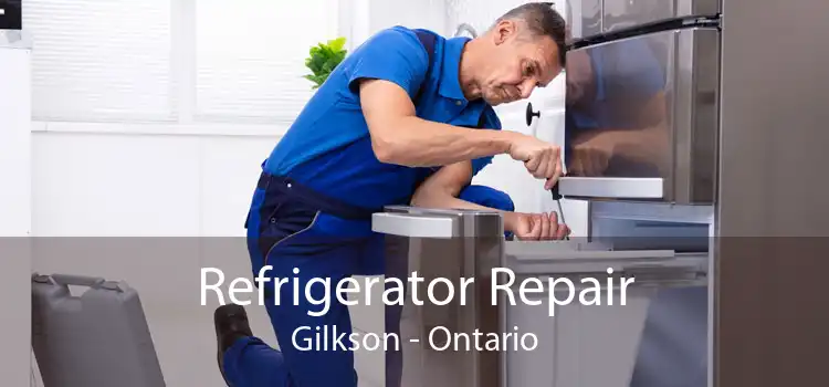 Refrigerator Repair Gilkson - Ontario