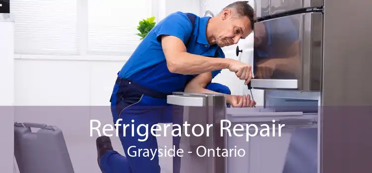 Refrigerator Repair Grayside - Ontario