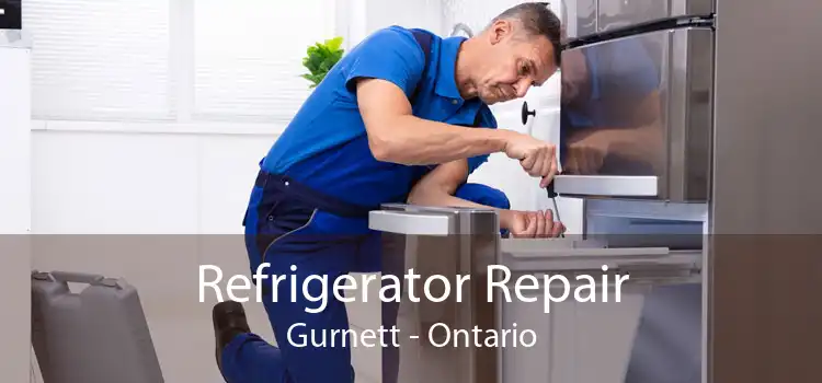 Refrigerator Repair Gurnett - Ontario