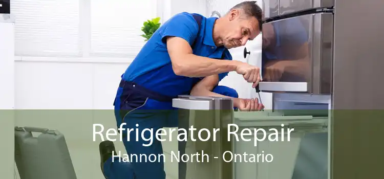 Refrigerator Repair Hannon North - Ontario