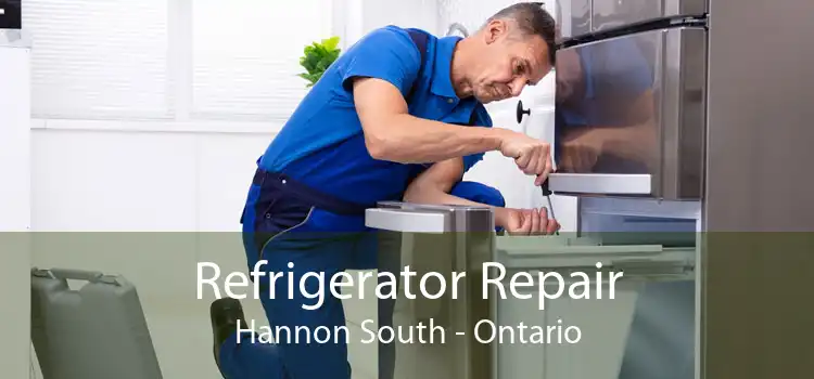 Refrigerator Repair Hannon South - Ontario