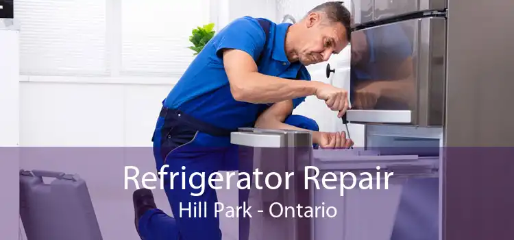 Refrigerator Repair Hill Park - Ontario