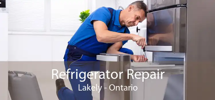 Refrigerator Repair Lakely - Ontario