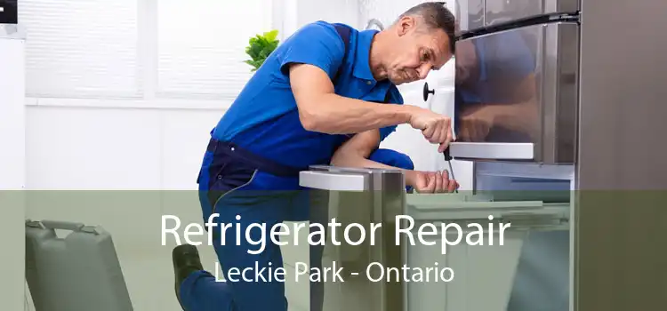Refrigerator Repair Leckie Park - Ontario