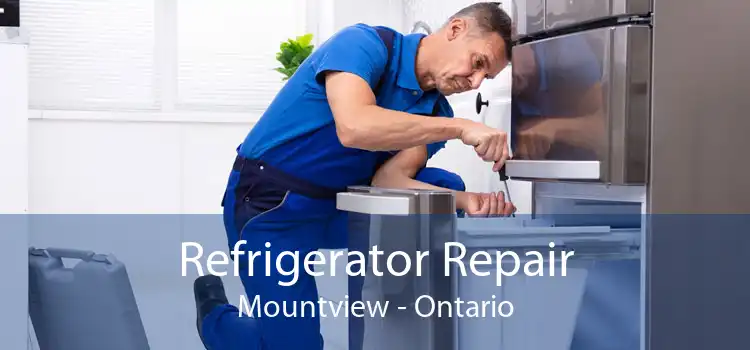 Refrigerator Repair Mountview - Ontario