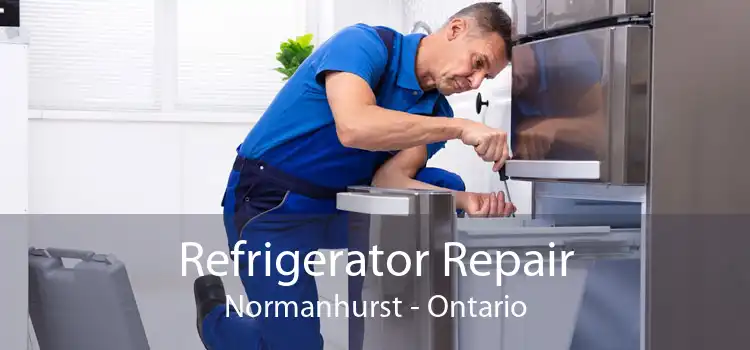 Refrigerator Repair Normanhurst - Ontario
