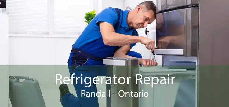 Refrigerator Repair Randall - Ontario