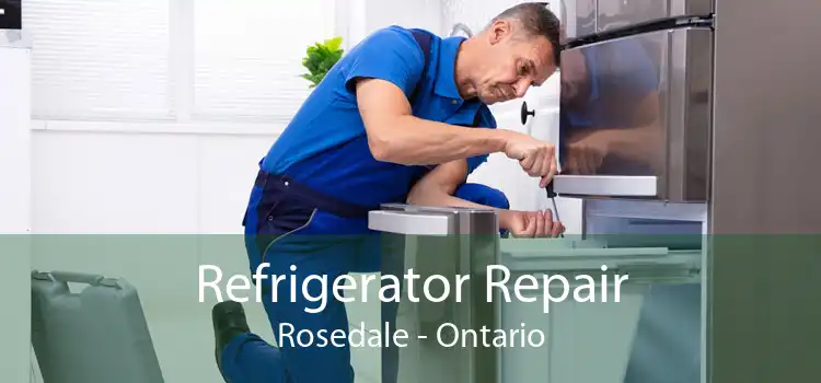 Refrigerator Repair Rosedale - Ontario