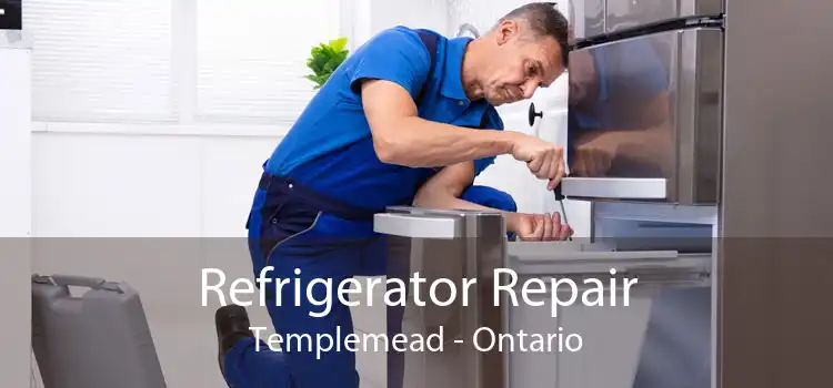 Refrigerator Repair Templemead - Ontario