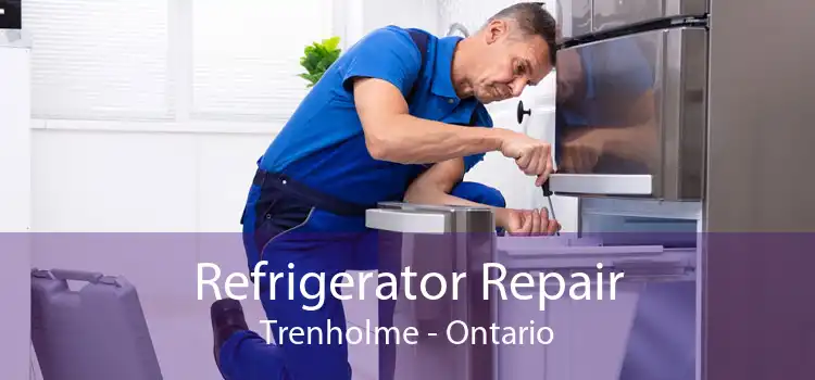 Refrigerator Repair Trenholme - Ontario