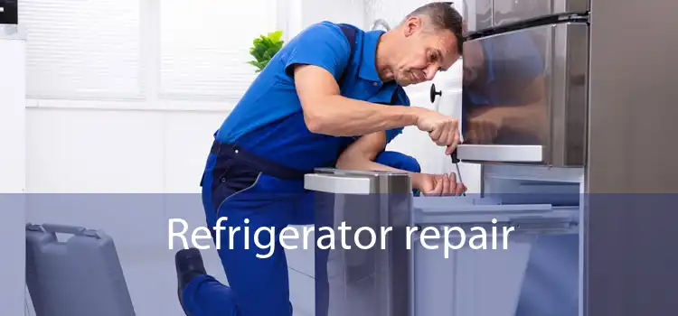 Refrigerator repair 