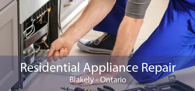 Residential Appliance Repair Blakely - Ontario
