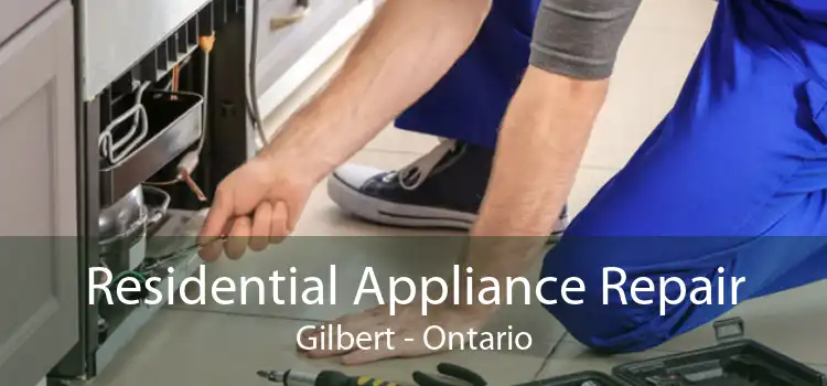 Residential Appliance Repair Gilbert - Ontario