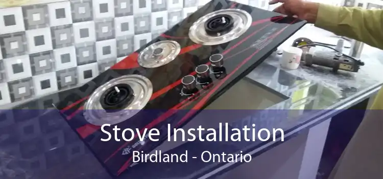 Stove Installation Birdland - Ontario