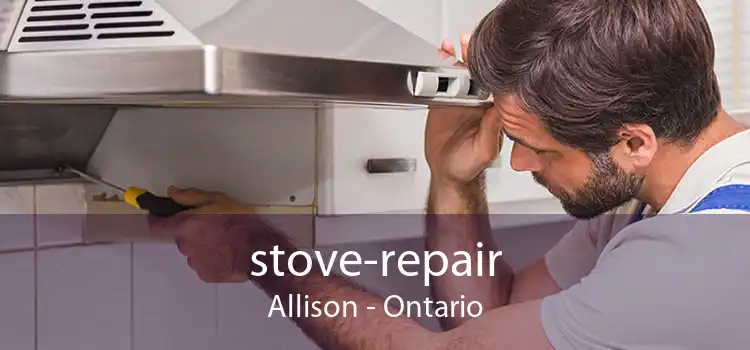 stove-repair Allison - Ontario