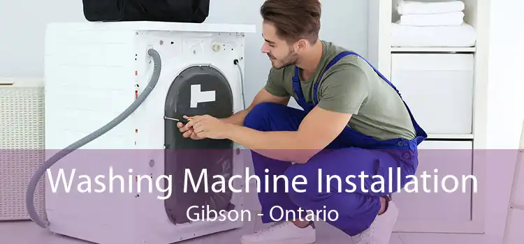 Washing Machine Installation Gibson - Ontario