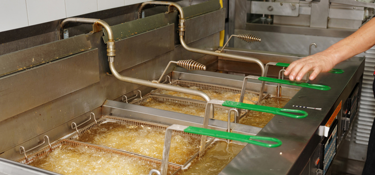 Cove Commercial Fryer Repair in Hamilton