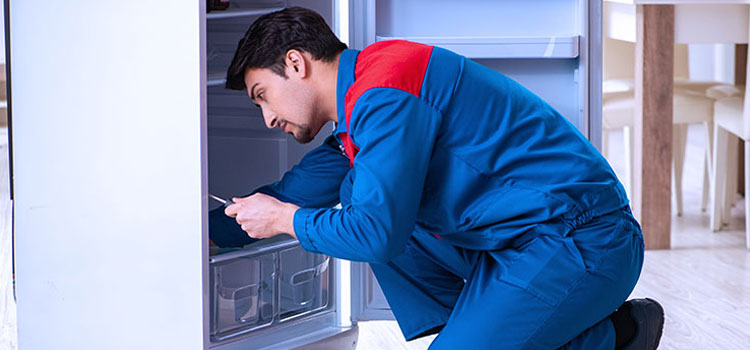 Cove Freezer Repair Services in Hamilton